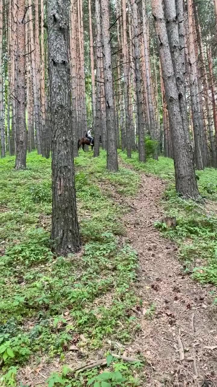 Галерея HorseTour