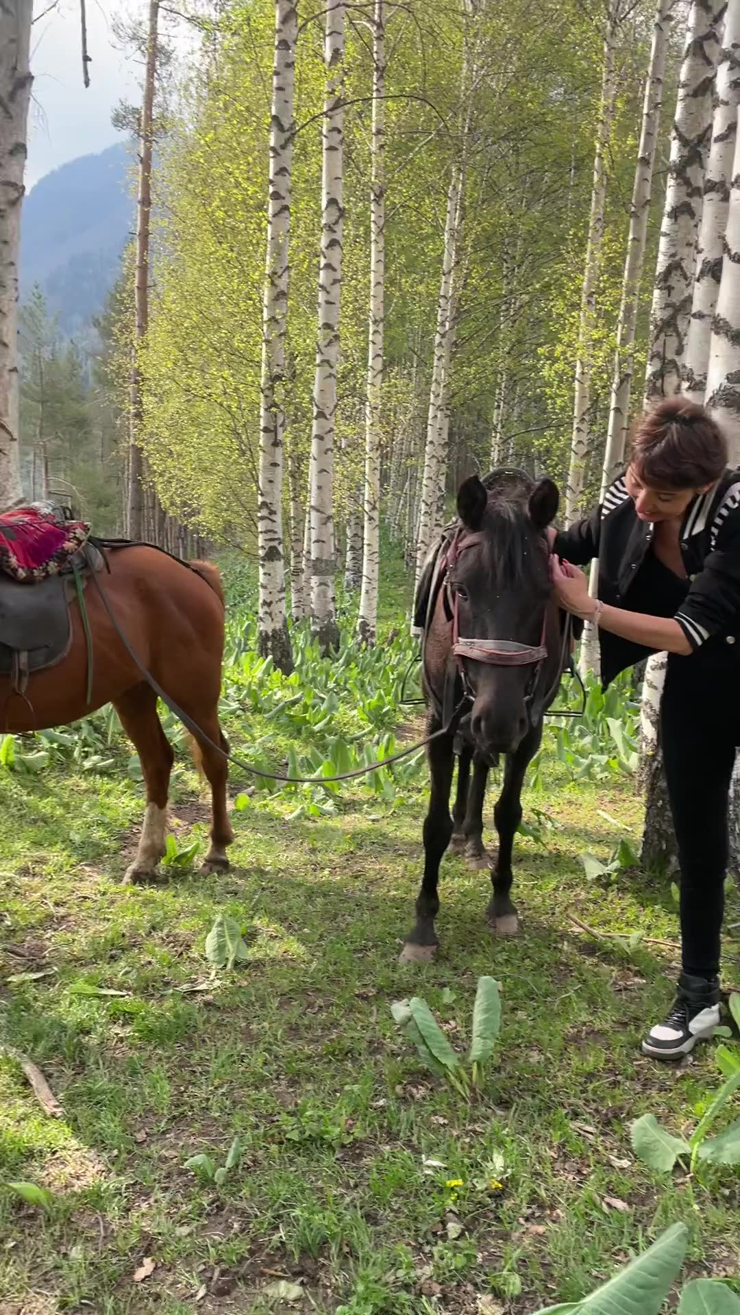 Видео-отзыв HorseTour